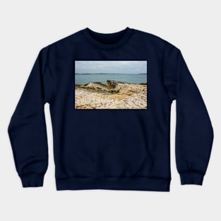 Limestone Coast in Kamenjak Park, Croatia Crewneck Sweatshirt